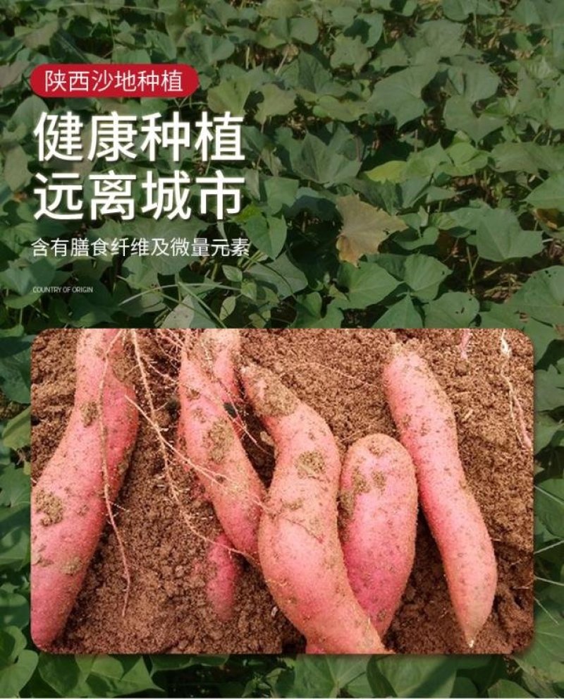 自家农产品