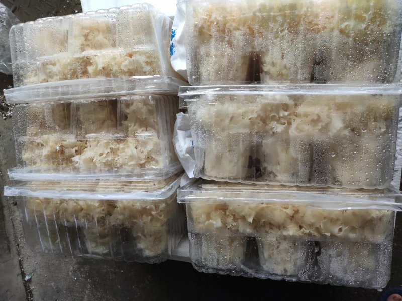 新鲜菌菇新鲜绣球菌