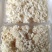 新鲜菌菇新鲜绣球菌