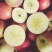 高山糖心苹果🍎
