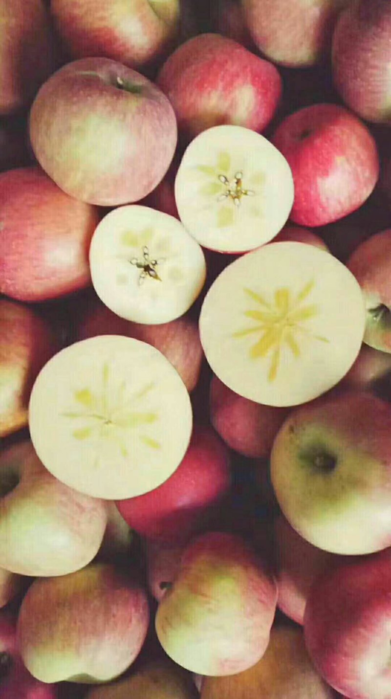 高山糖心苹果🍎