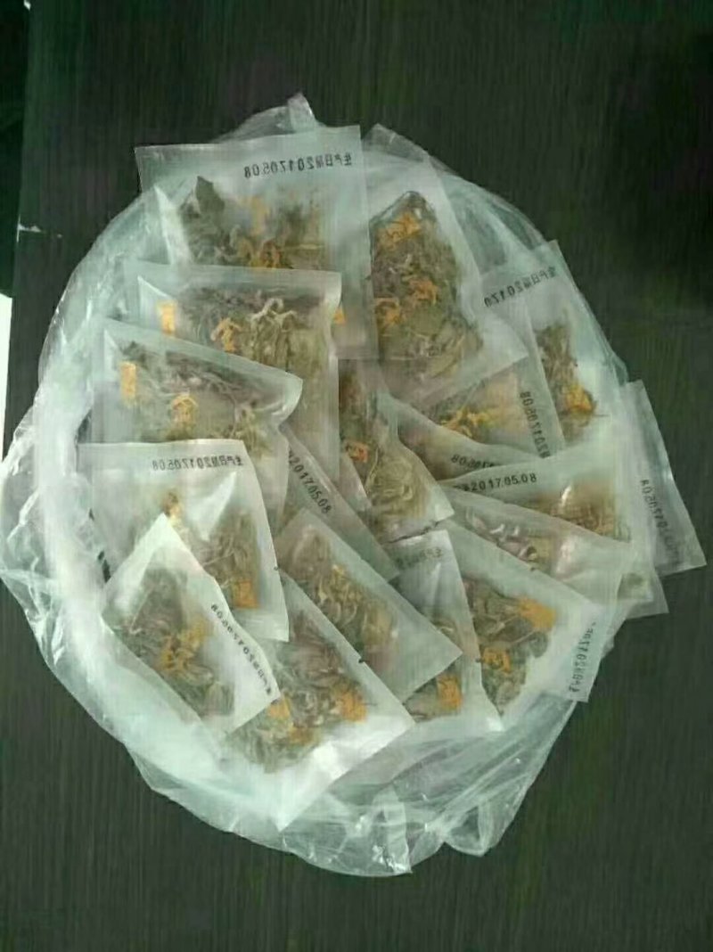 林下金线莲