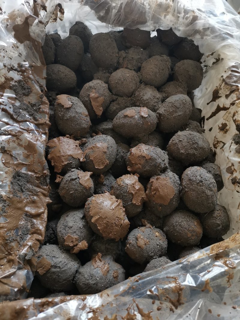 红泥烤蛋祖传秘方黄酥满油