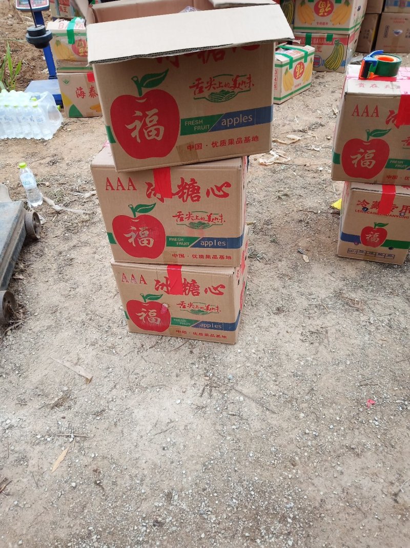 红富士纸袋苹果大量上市，欢迎咨询，价格优惠