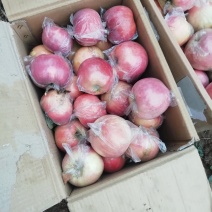斗南，纸加膜富士
