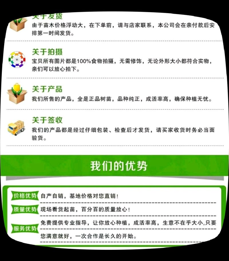 红油香椿苗0.35元-2元等规格，保成活提供技术指导