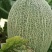 西州蜜25