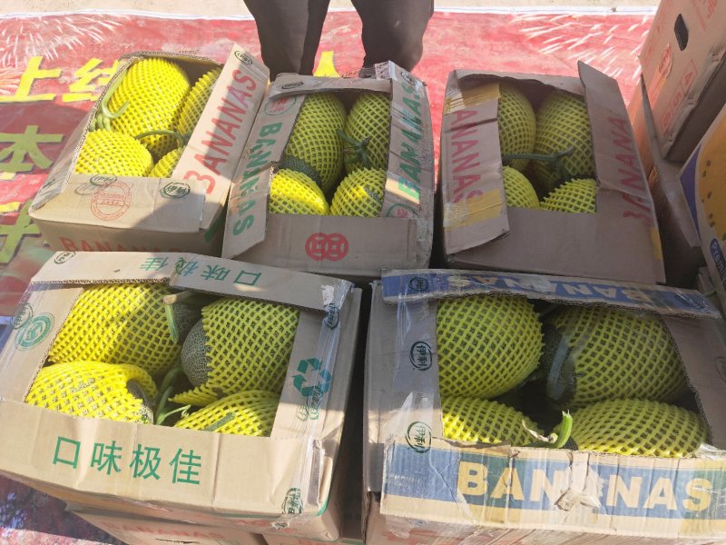 西州蜜25