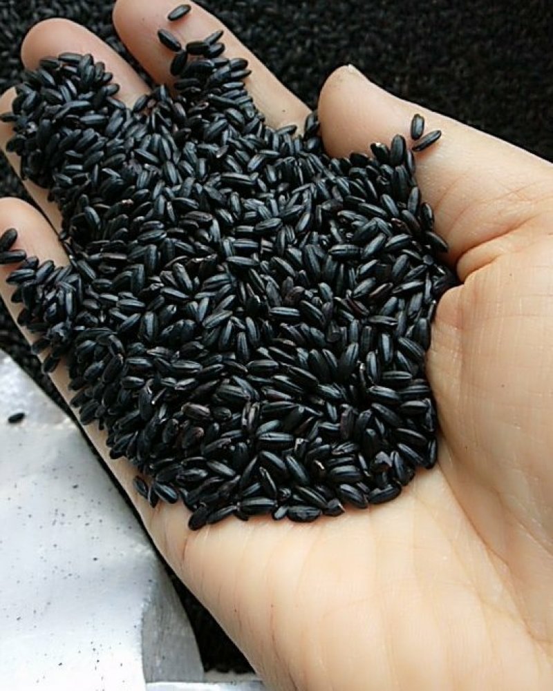 黑香米21年新货一级颗粒饱满9斤起批包邮散货无污色