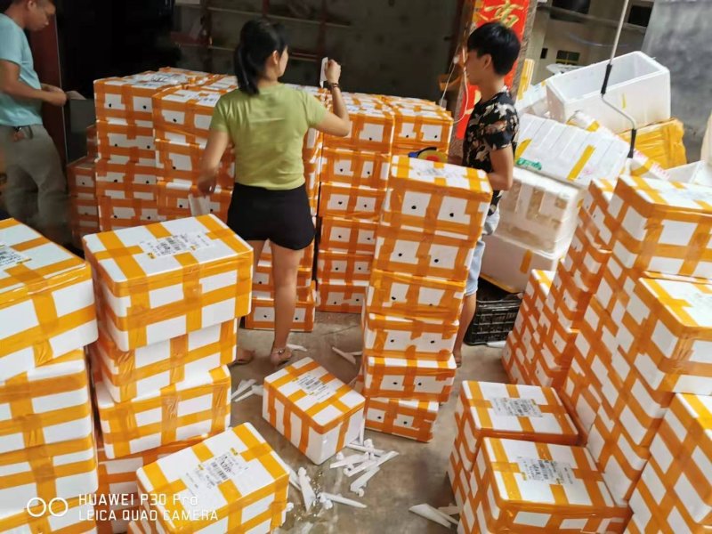 无籽青柠檬5斤36.8元一件代发。