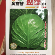 盛绿甘蓝种子春秋两用包心菜种子