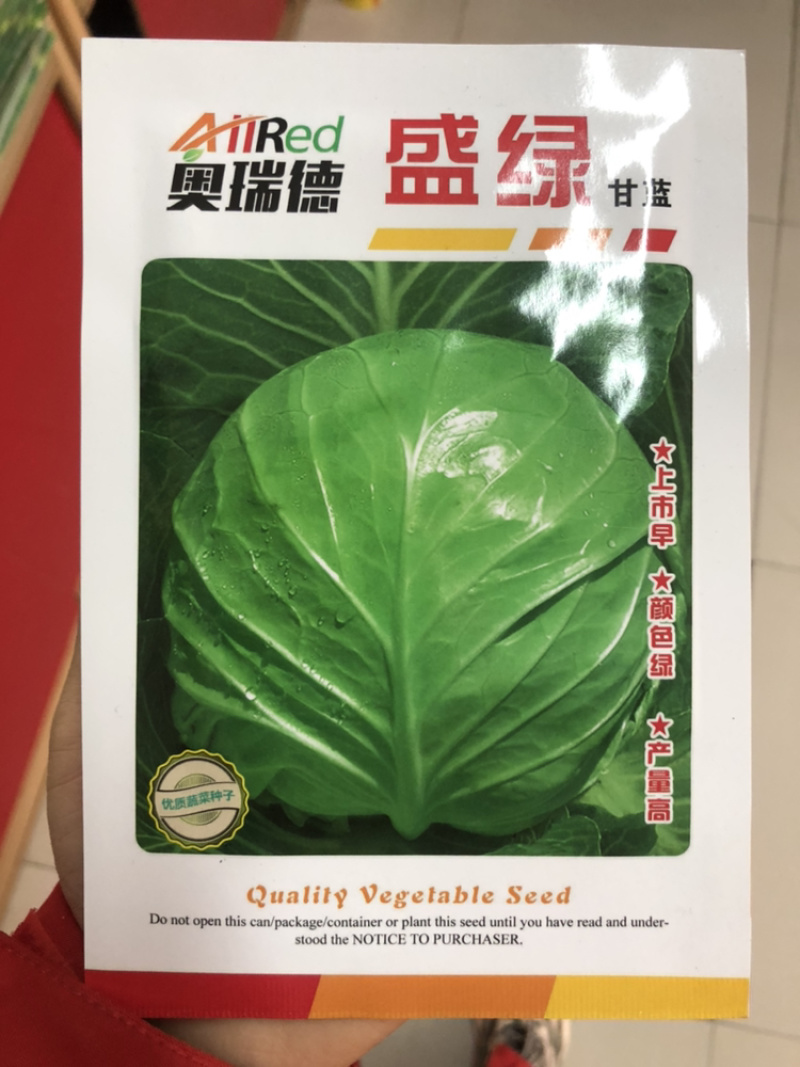 盛绿甘蓝种子春秋两用包心菜种子