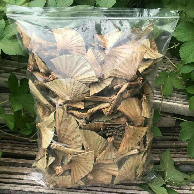荷叶蒂产地直供支持线上交易可搭配多品种采购大货联系