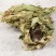 天山雪莲产地直供支持线上交易可搭配多品种采购大货联系