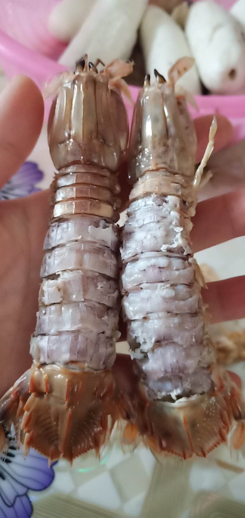 琵琶虾