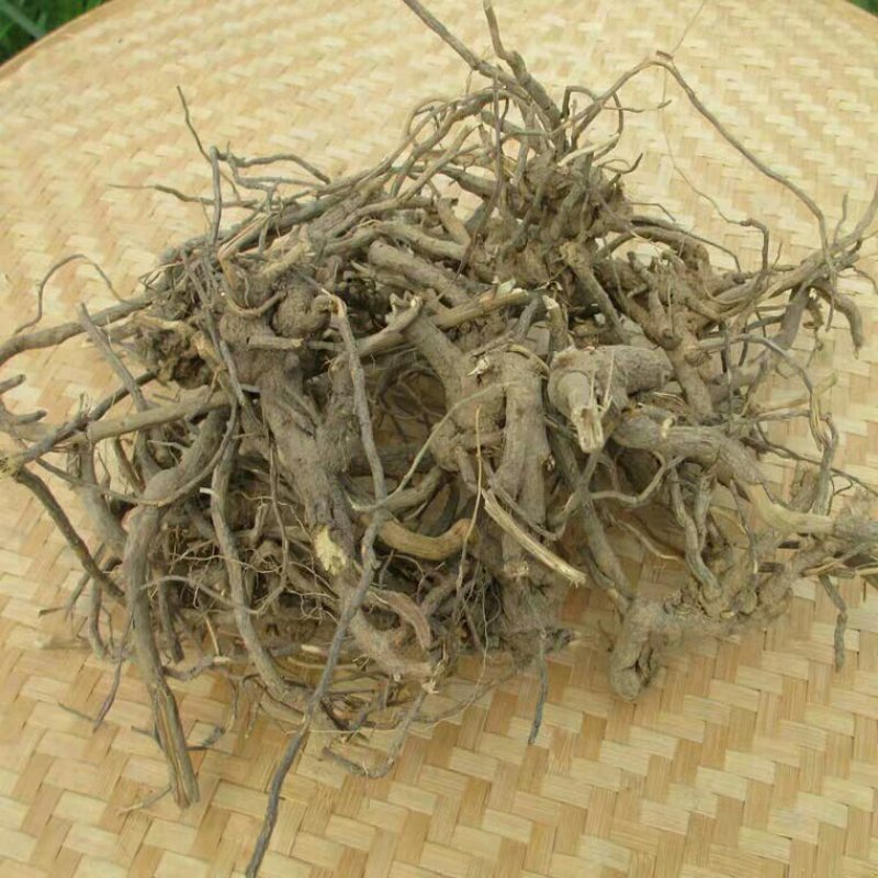 过饥草土丁桂可搭配多品种采购大货联系客服