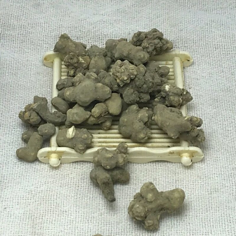 夏天无产地直供支持线上交易可搭配多品种采购大货联系