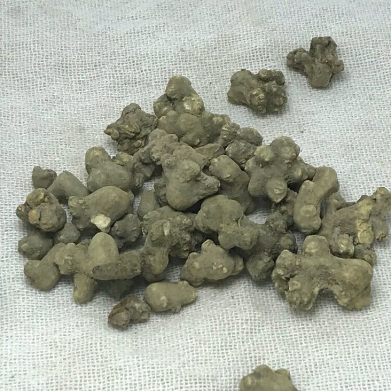 夏天无产地直供支持线上交易可搭配多品种采购大货联系
