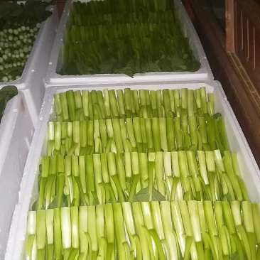 菜苔叶菜精品广东菜心