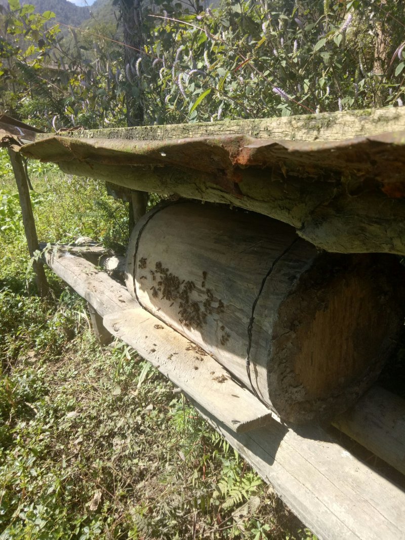 农村圆通纯不含糖纯蜂蜜
