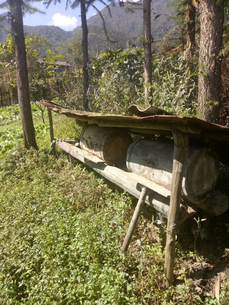 农村圆通纯不含糖纯蜂蜜