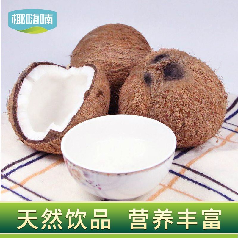 椰子海南毛椰9个装包邮，厂家供应天天发货