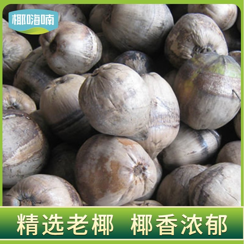 椰子海南毛椰9个装包邮，厂家供应天天发货