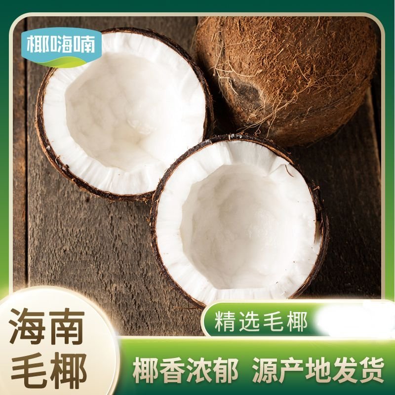 椰子海南毛椰9个装包邮，厂家供应天天发货