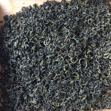 绿茶