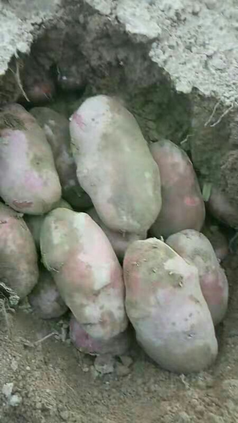 山西吕梁岚县