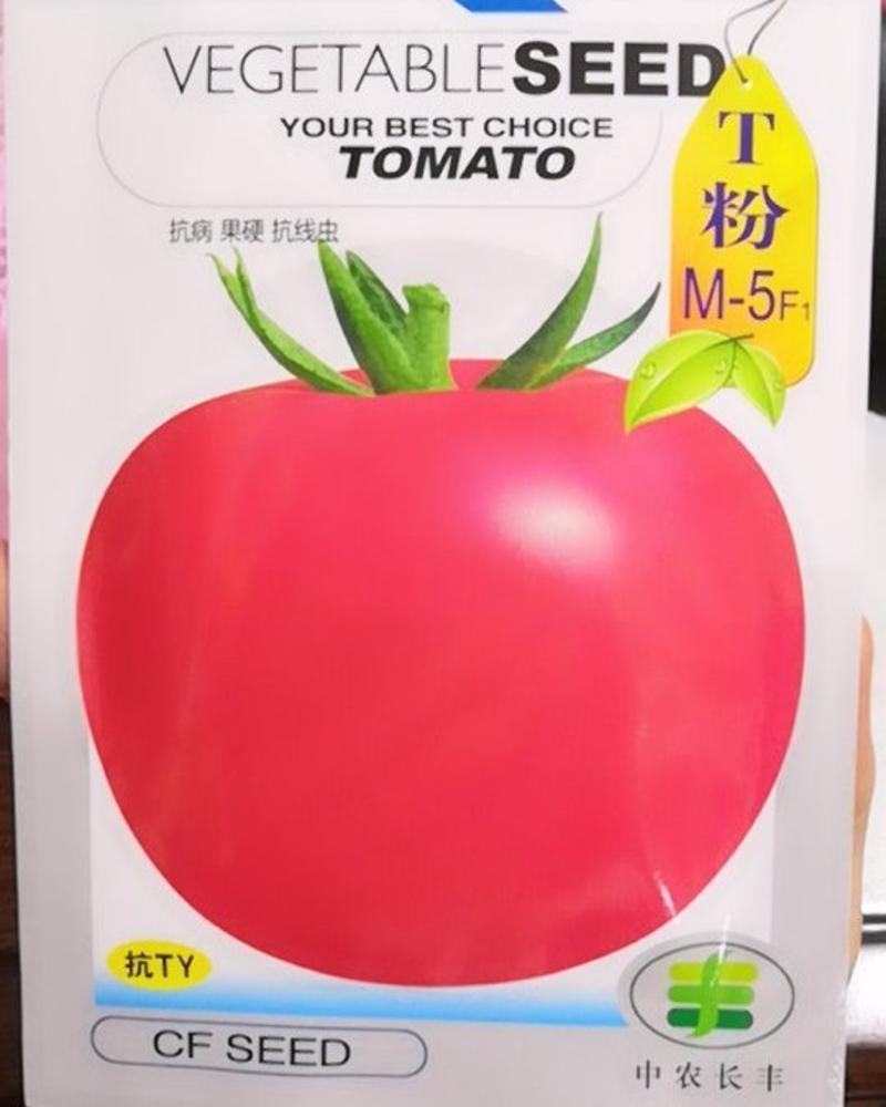 早熟厚皮大粉红番茄种子-T粉M-5F1