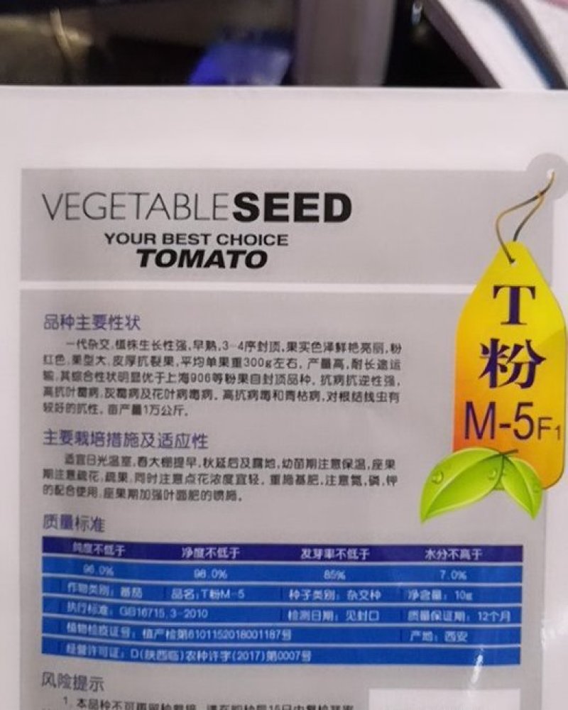 早熟厚皮大粉红番茄种子-T粉M-5F1