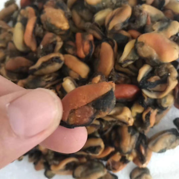 天然淡菜