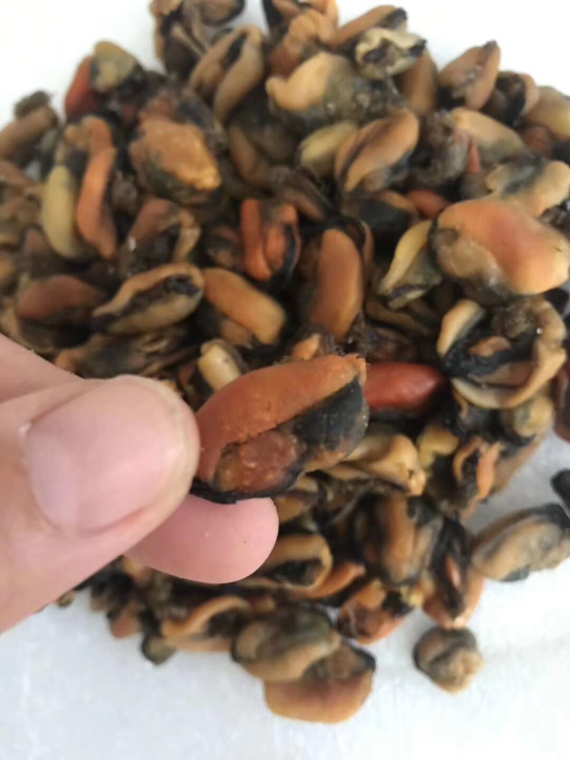 天然淡菜