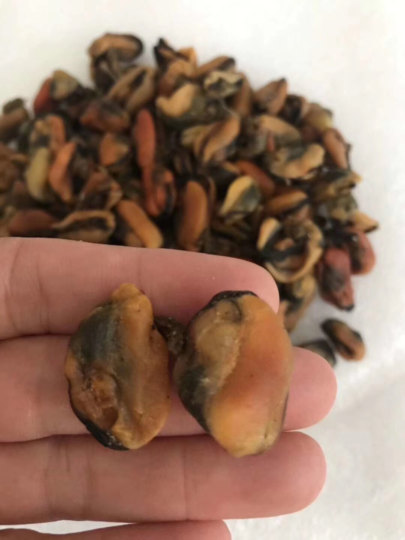 天然淡菜