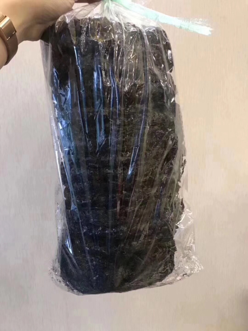 头水紫菜