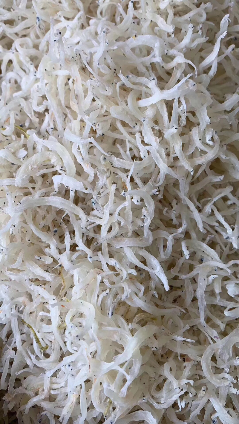 银鱼干