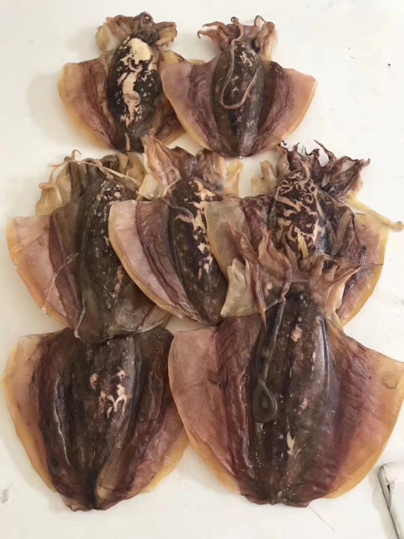 天然澳内海无添加足干墨鱼干