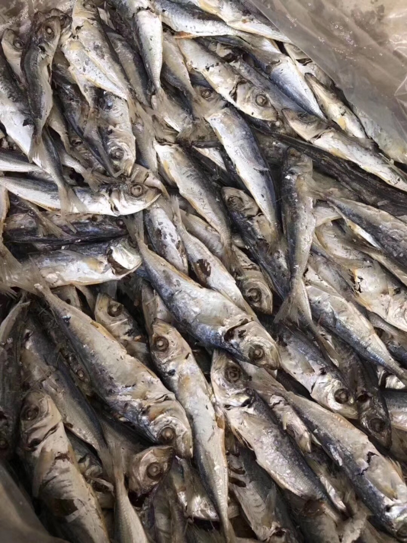 澳内海天然熟晒本地巴浪鱼干
