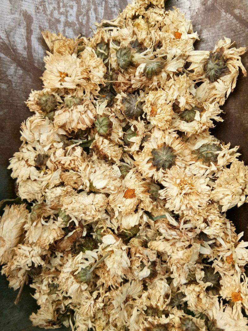 菊花药用白菊花无硫干品含量高批发零售质量保证