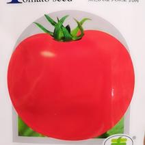 西红柿种子耐寒抗热大红番茄种子-新丰五号