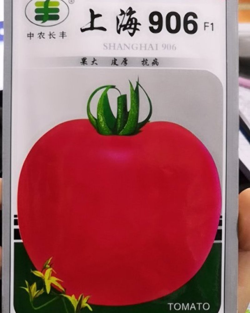 上海906粉红番茄种子(早中熟型抗病粉红番茄)