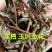 大凉藤产地直供支持线上交易可搭配多品种采购大货联系