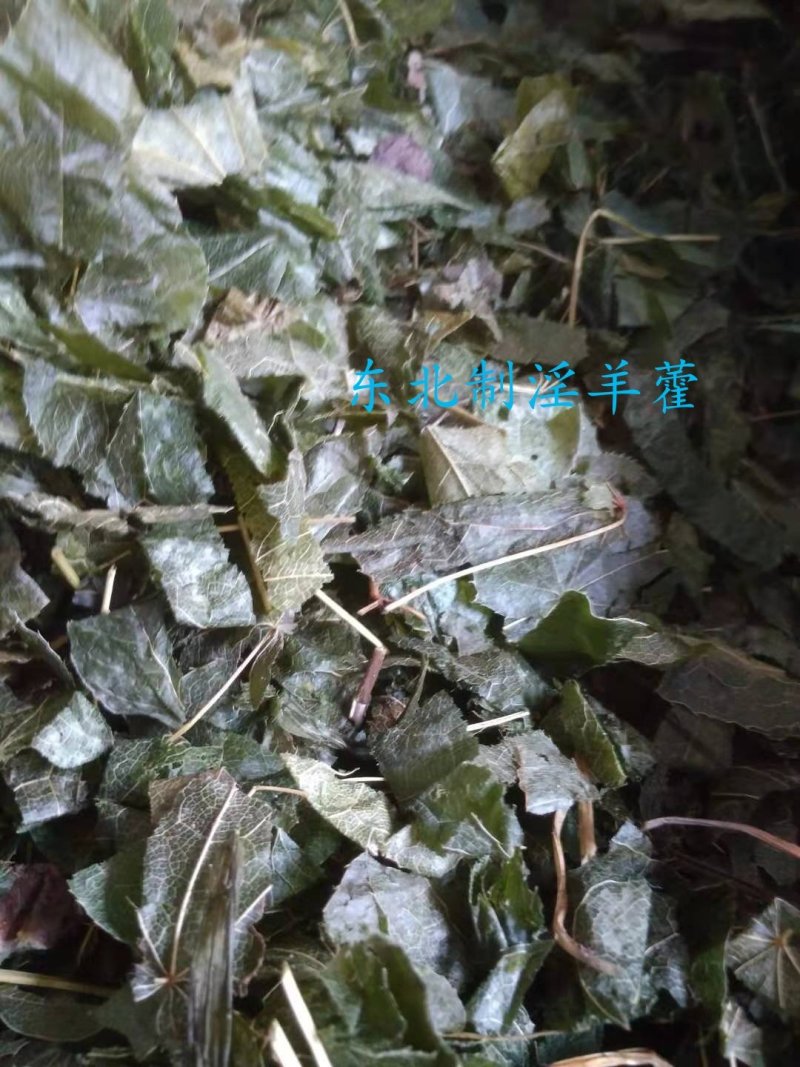 淫羊藿东北去梗纯叶无掺杂各种规格2斤起包邮