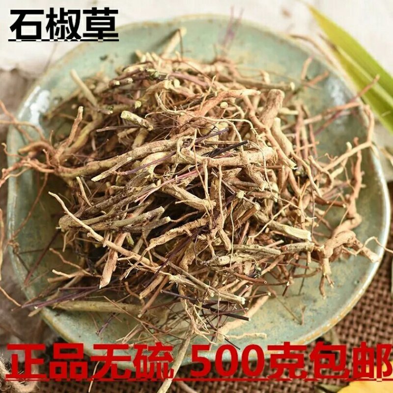 石椒草岩椒草各种规格可搭配多品种采购大货联系客服