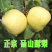 (爆甜梨子)有好货10斤梨子新鲜水果梨子酥梨雪梨一件代发