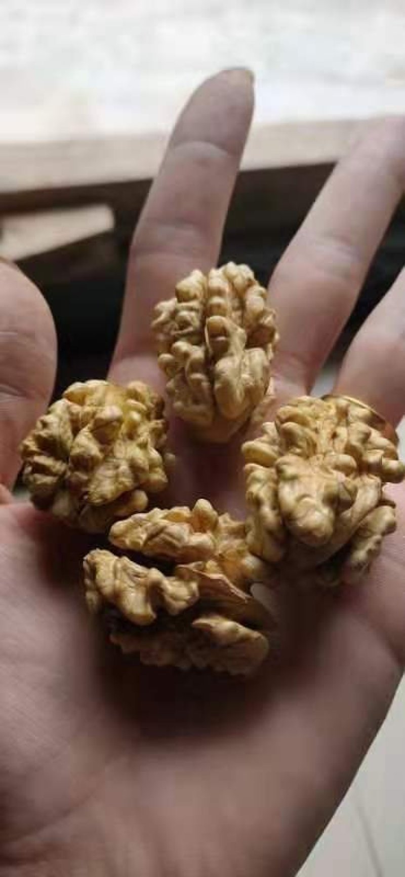 甘肃陇南新品种核桃，皮薄，饱满，味道香