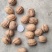 甘肃陇南新品种核桃，皮薄，饱满，味道香