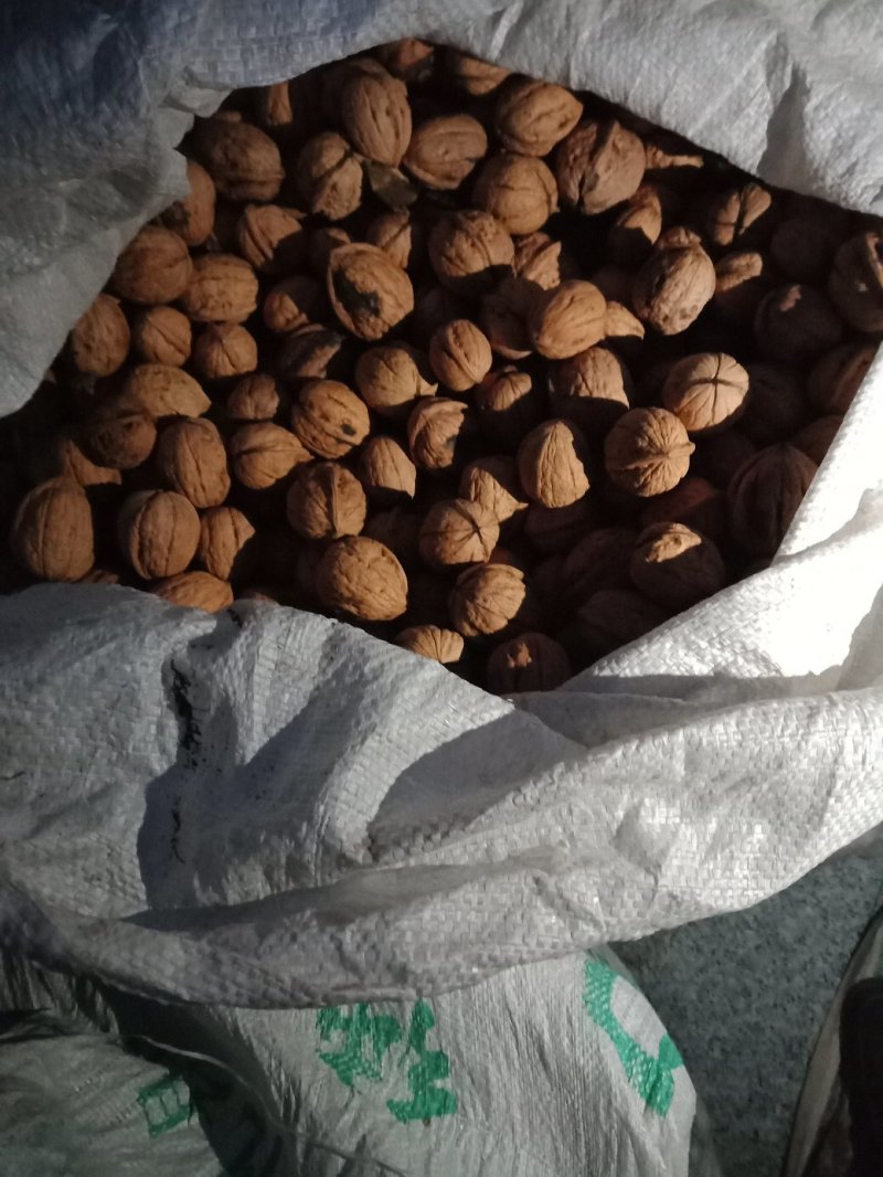 甘肃陇南新品种核桃，皮薄，饱满，味道香