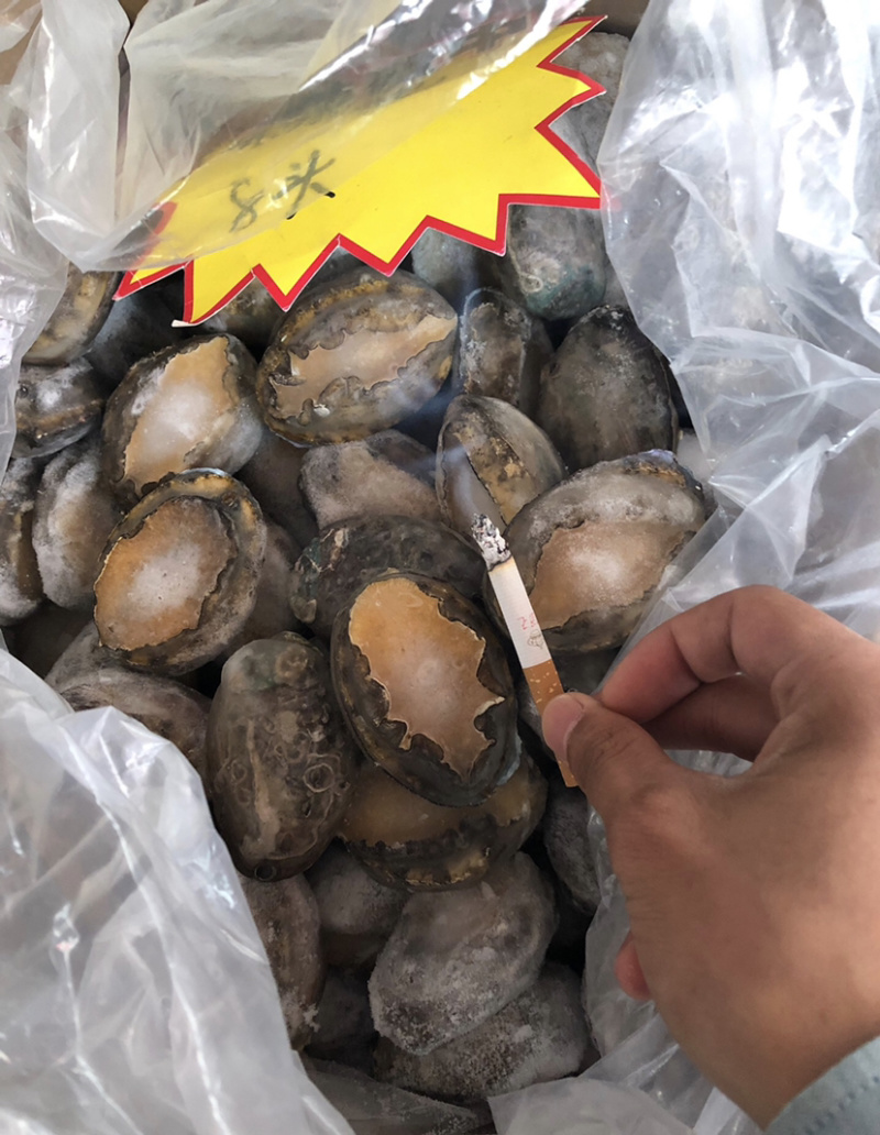 鲍鱼，每件20斤，品质保证
